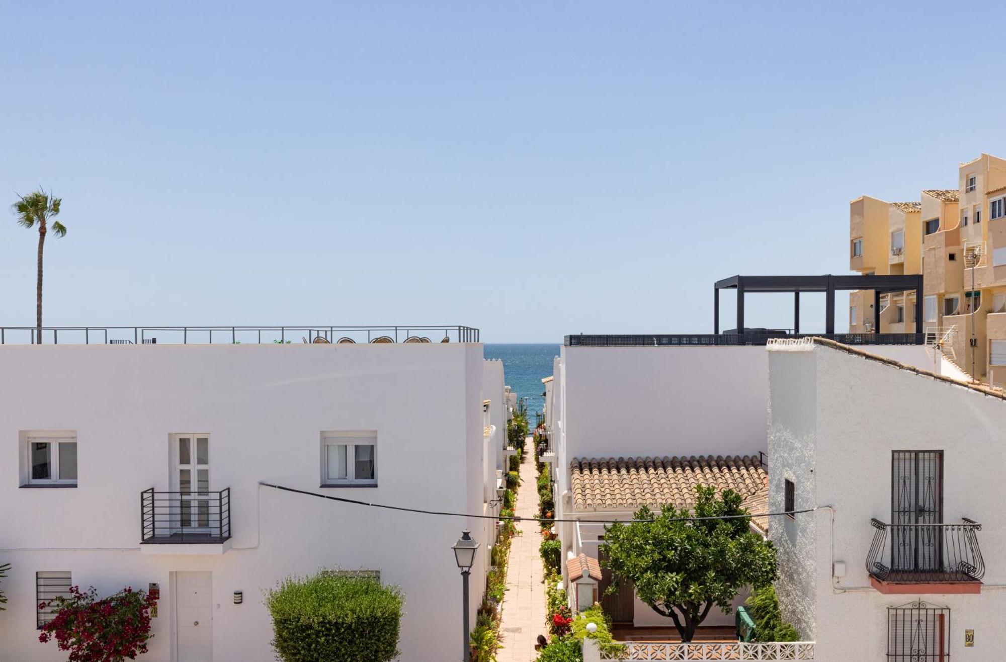 Palm Apartamento *